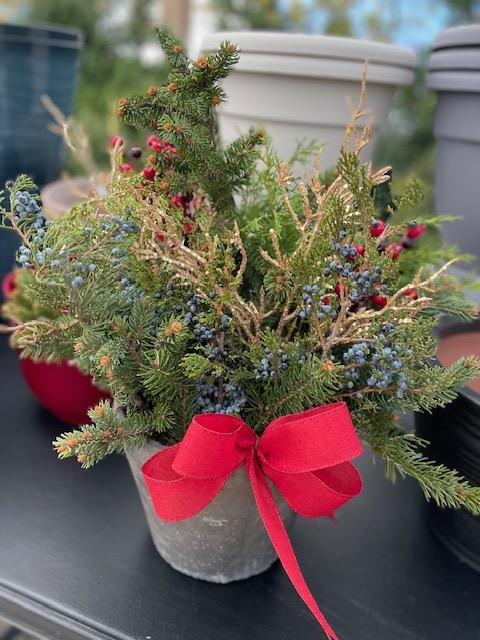 9-in Holiday Live Green Porch Pot $30