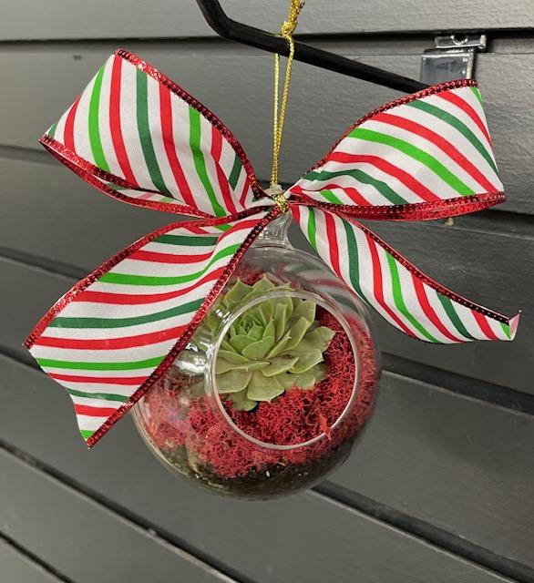 Live Holiday Ornament $15.00